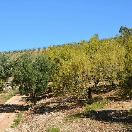 Torre Bruno * Carpino