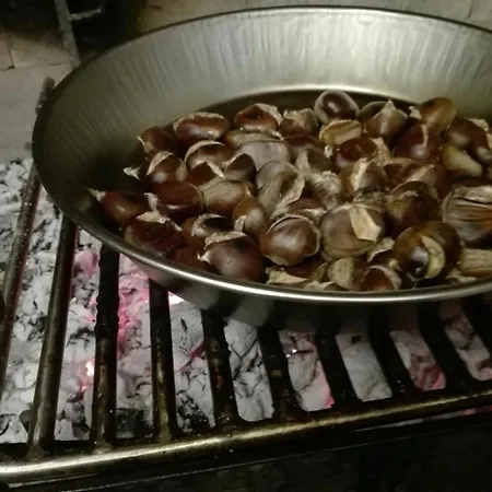 Torre Bruno * Carpino