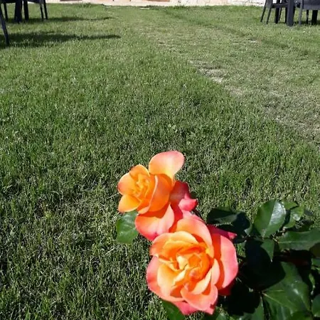 Feriegård Torre Bruno Carpino