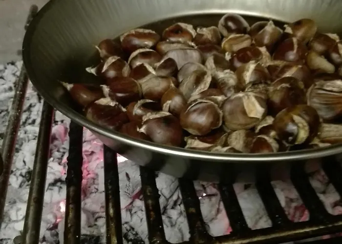 Torre Bruno * Carpino