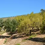 Torre Bruno * Carpino