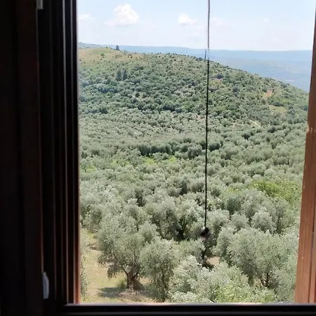 Torre Bruno
