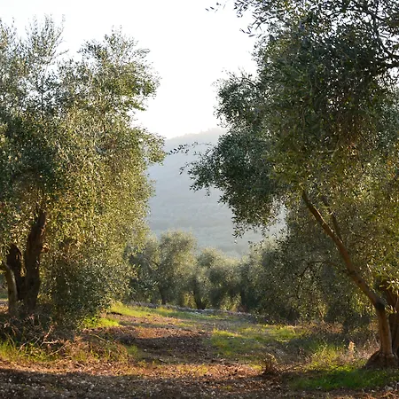 Farm stay Torre Bruno Carpino