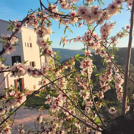 Alloggio per agriturismo Torre Bruno Carpino